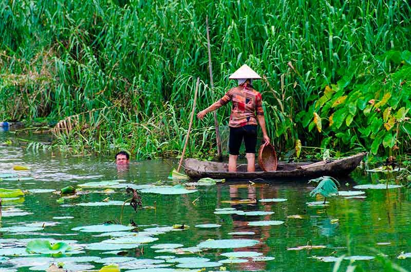 477 - Vietnam - cuevas de Tam Coc - rio Ngo Dong - gente trabajando
